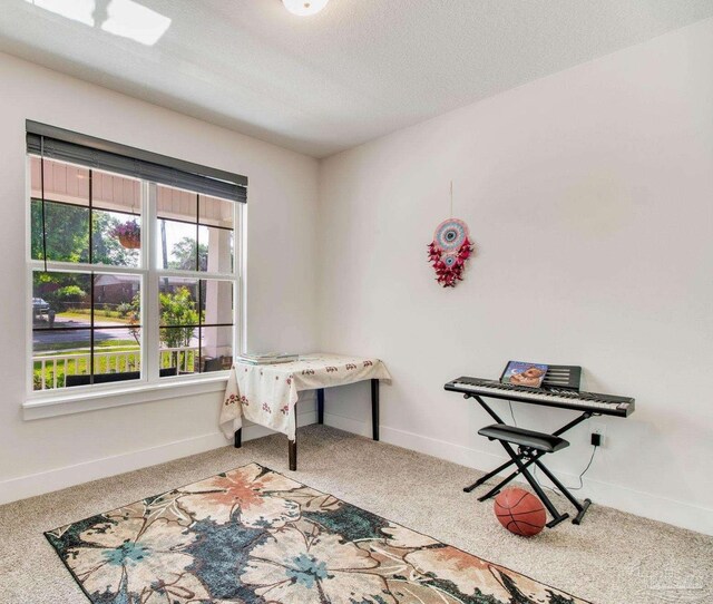 interior space with a textured ceiling, carpet floors, and baseboards