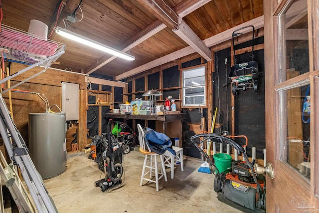 storage area with electric panel and water heater