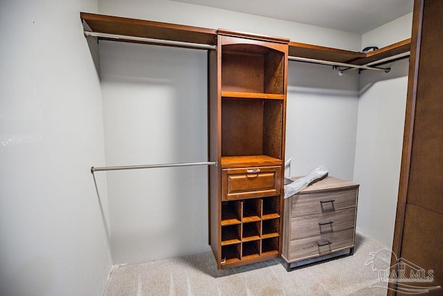 spacious closet featuring light carpet