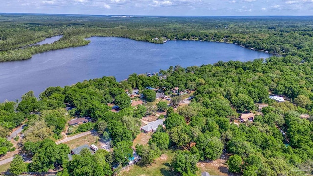 aerial view featuring a water view and a view of trees