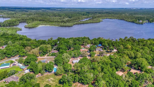 bird's eye view featuring a water view and a forest view
