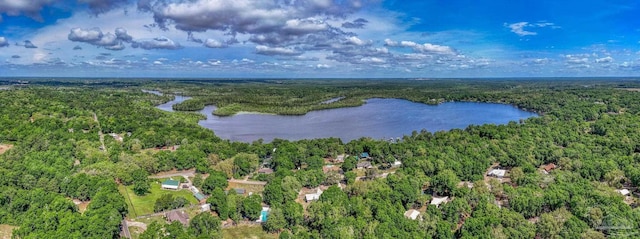 drone / aerial view with a water view and a view of trees