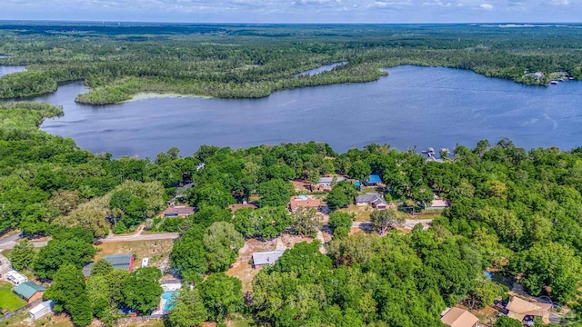 aerial view featuring a view of trees and a water view