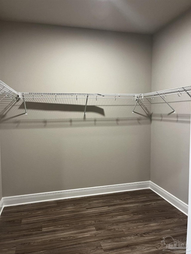 walk in closet with dark wood-type flooring