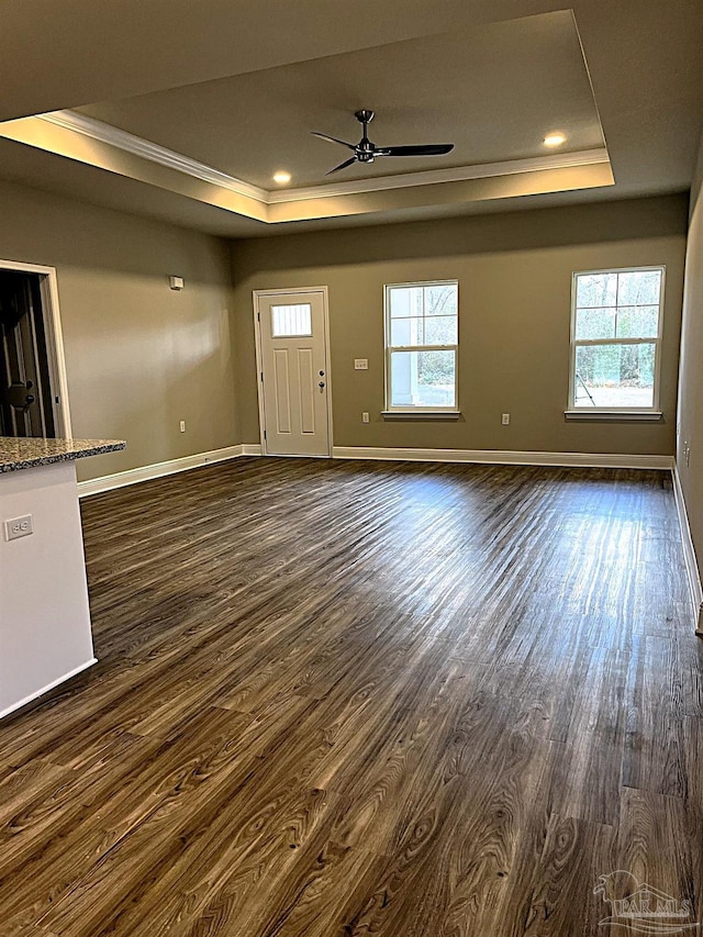 unfurnished room featuring a raised ceiling, dark wood-style flooring, and a wealth of natural light