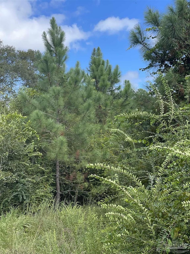 5700BLOCK Pine Forest Rd, Walnut Hill, FL 32568