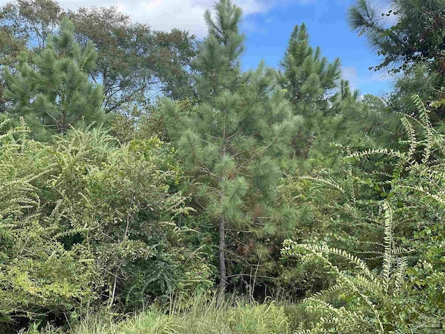5700BLOCK Pine Forest Rd, Walnut Hill, FL 32568