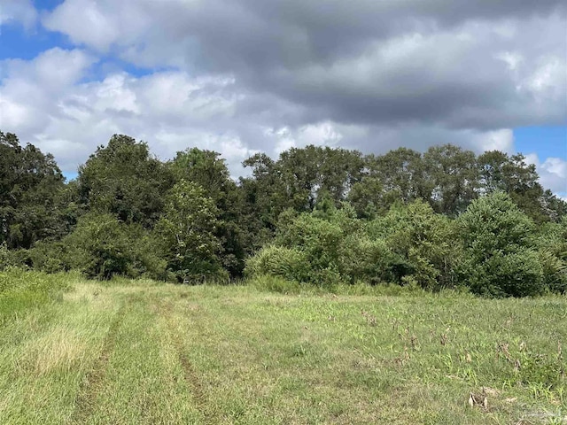 5700BLOCK Pine Forest Rd, Walnut Hill, FL 32568
