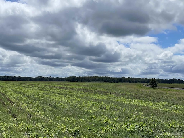 5700BLOCK Pine Forest Rd, Walnut Hill, FL 32568