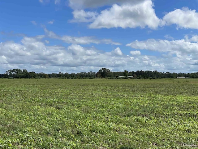 5700BLOCK Pine Forest Rd, Walnut Hill, FL 32568
