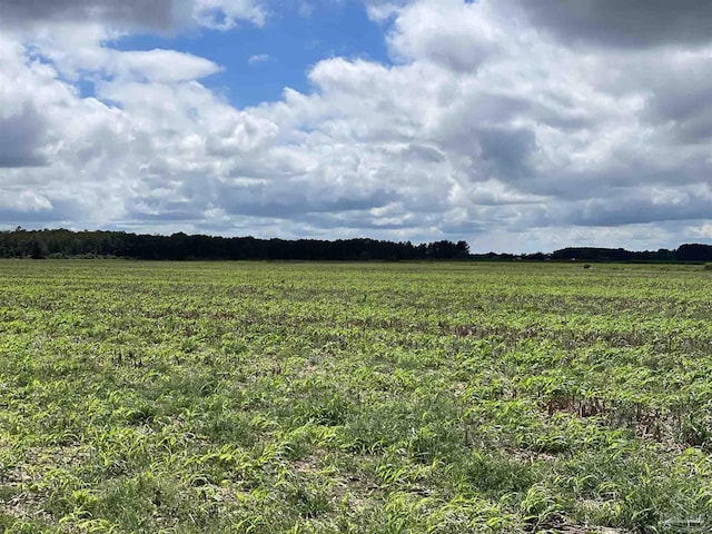 5700BLOCK Pine Forest Rd, Walnut Hill, FL 32568