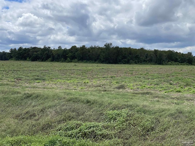 5700BLOCK Pine Forest Rd, Walnut Hill, FL 32568