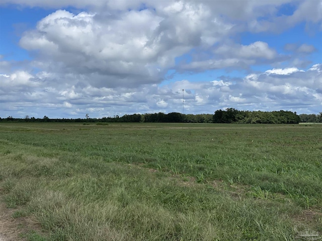 5700BLOCK Pine Forest Rd, Walnut Hill, FL 32568