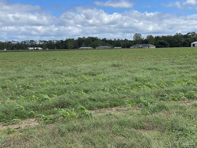 5700BLOCK Pine Forest Rd, Walnut Hill, FL 32568