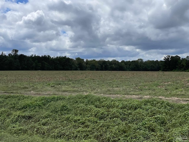 5700BLOCK Pine Forest Rd, Walnut Hill, FL 32568