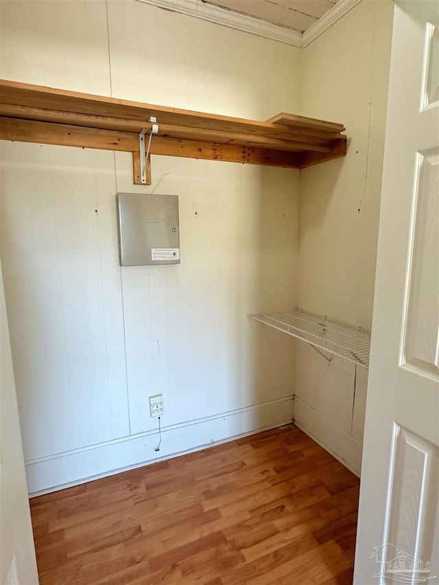 walk in closet featuring wood finished floors