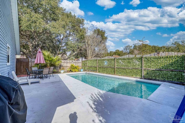 view of pool with a patio area and grilling area