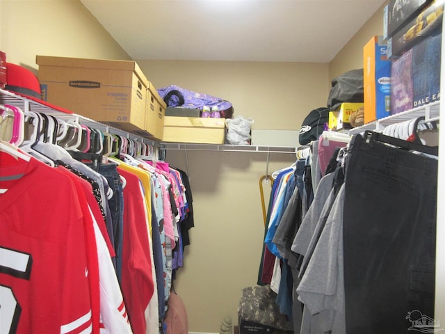 view of spacious closet