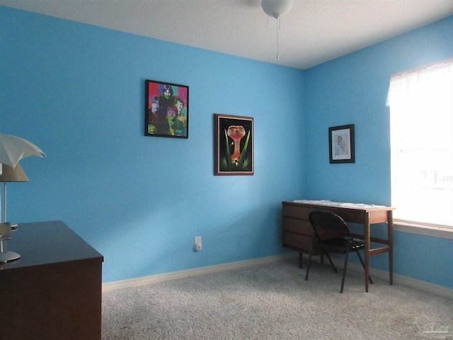 carpeted office with plenty of natural light