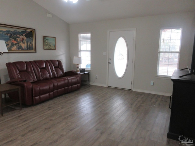 foyer with dark hardwood / wood-style floors, a wealth of natural light, and vaulted ceiling