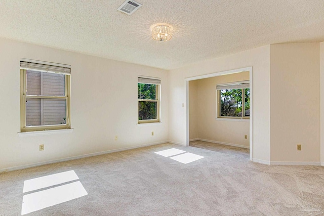 spare room featuring light carpet, a wealth of natural light, and a textured ceiling