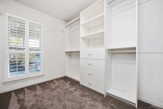 walk in closet featuring dark carpet