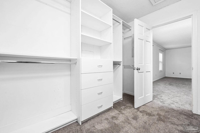 spacious closet with carpet