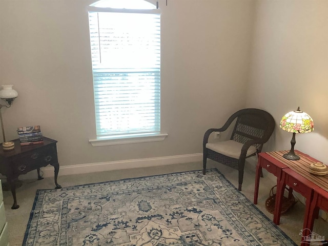 living area with light colored carpet