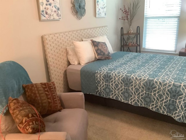 bedroom with carpet