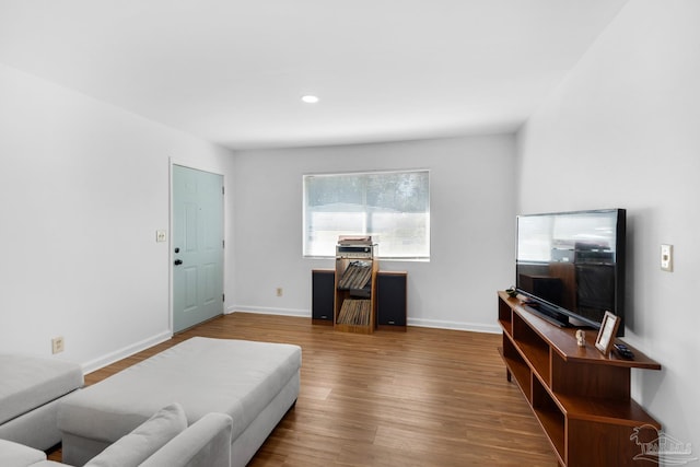 living room with wood-type flooring