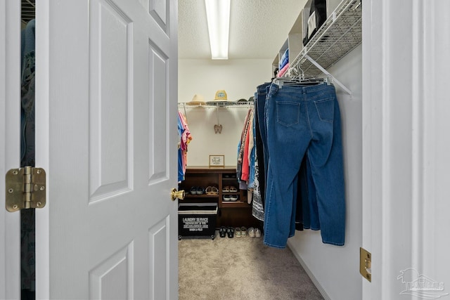 10738 Magnolia Ln, Lillian, AL 36549 - spacious closet with carpet floors