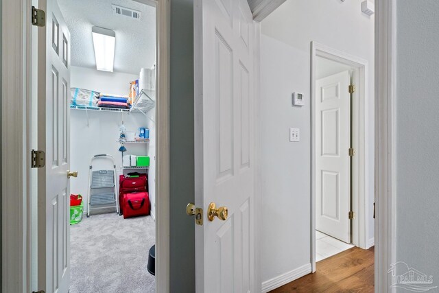 10738 Magnolia Ln, Lillian, AL 36549 - hallway with baseboards, visible vents, a textured ceiling, and carpet