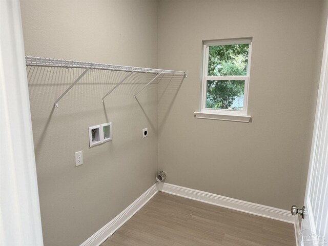 walk in closet featuring hardwood / wood-style floors