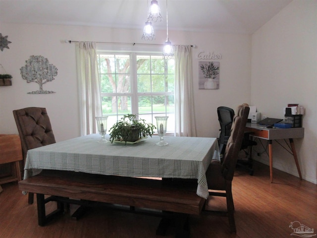 dining space featuring hardwood / wood-style flooring