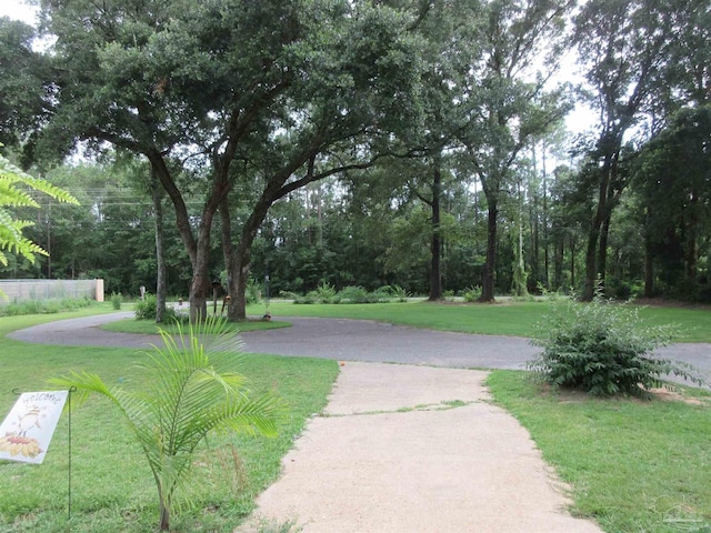 surrounding community featuring a lawn