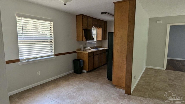 kitchen featuring sink and black refrigerator