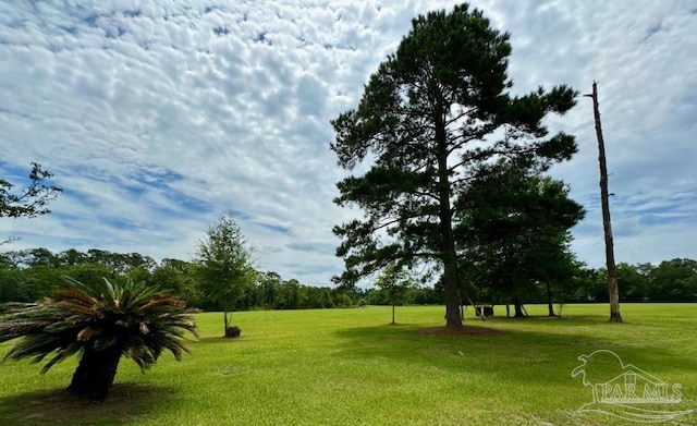 view of community with a lawn