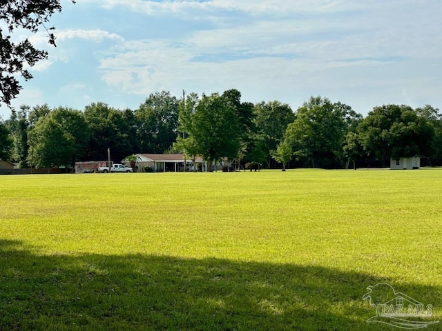 view of community featuring a yard