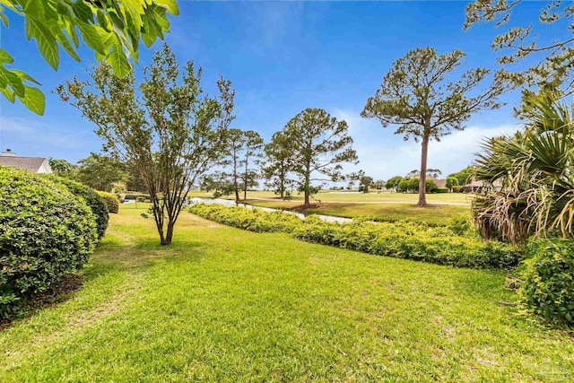 3756 Bengal Rd, Gulf Breeze, FL 32563 - view of yard