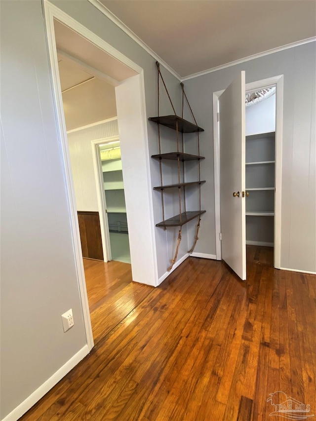 interior space with a walk in closet, a closet, ornamental molding, and dark wood-type flooring