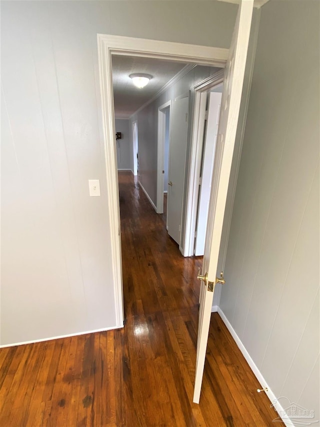 hall featuring crown molding and dark hardwood / wood-style floors