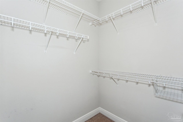 view of walk in closet