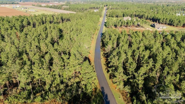 LOT67 Sage Forest Ln, Pace, FL 32571