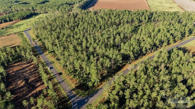 LOT67 Sage Forest Ln, Pace, FL 32571