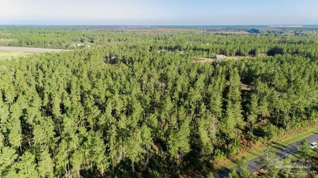 LOT67 Sage Forest Ln, Pace, FL 32571