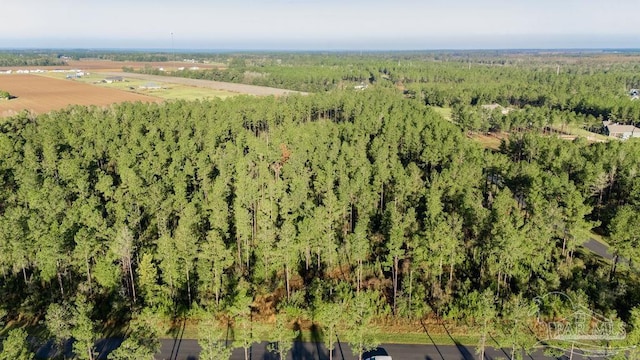 LOT67 Sage Forest Ln, Pace, FL 32571