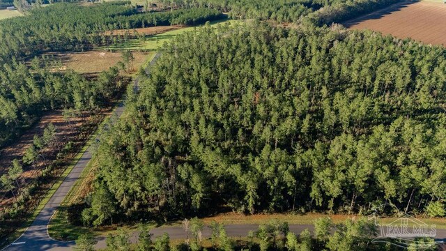 LOT67 Sage Forest Ln, Pace, FL 32571