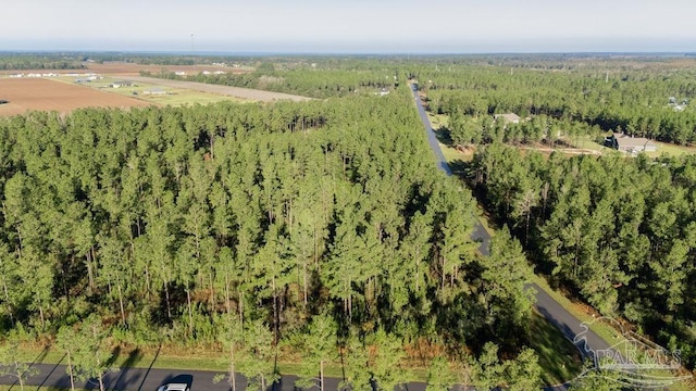 LOT67 Sage Forest Ln, Pace, FL 32571