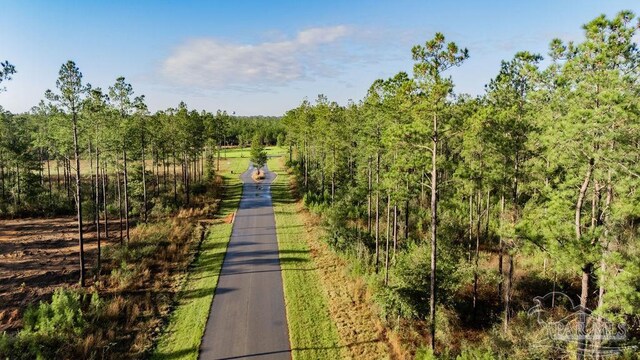 LOT67 Sage Forest Ln, Pace, FL 32571
