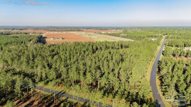 LOT67 Sage Forest Ln, Pace, FL 32571